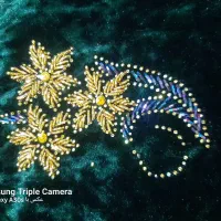 منجق وسیخک دوزی وجواهردوزی|لباس|لردگان, |دیوار