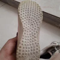 کفش اسپرت|کیف، کفش، کمربند|کرمانشاه, |دیوار