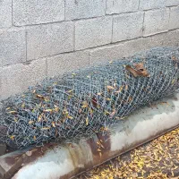 فروش فنس و کندو زنبور عسل|لوازم جانبی حیوانات|آق قلا, |دیوار