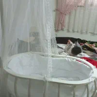 تخت کنار مادر . گهواره بچه تخت بچه|تخت و صندلی بچه|تهران, نظام‌آباد|دیوار