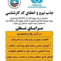 استخدام در بیمه ایران و اعطای کد کارشناسی