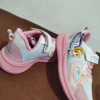 کفش|کیف، کفش، کمربند|گنبد کاووس, |دیوار