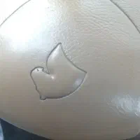 آموزش رانندگی