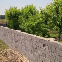 زمین ۱۲۰ متری دیوارکشی شده|فروش زمین و ملک کلنگی|دلند, |دیوار