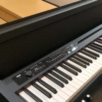 پیانو کرگ ال پی ۳۸۰