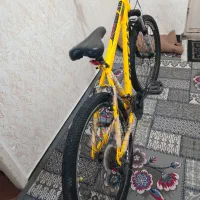 دوچرخه|دوچرخه، اسکیت، اسکوتر|شوشتر, |دیوار