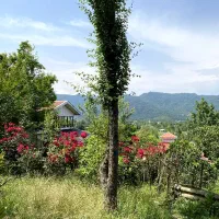 منزل مسکونی واقع در شهرک ابن سینا خیابان پزشک  ۱