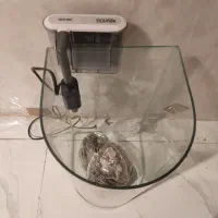 آکواریوم ماهی و لوازم|ماهی|کرج, کوی امامیه|دیوار