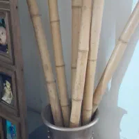 گلدان با چوب بامبو ۴۰۰|گل مصنوعی|نسیمشهر, |دیوار