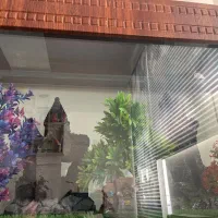 آکواریوم|ماهی|تهران, شهرک امیرالمومنین|دیوار