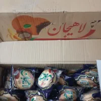 کلوچه خوشمزه لاهیجان ۳۵ هزار