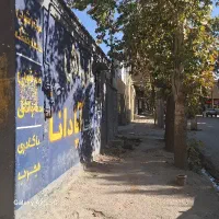 نیروی کار در کارواش