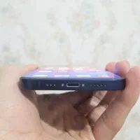 ایفون ۱۲ نرمال|موبایل|رشت, کوی مهر|دیوار