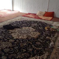 فروش آپارتمان ۲۰۵ متری ۱ خوابه همکف در شاه ابراهیم|فروش آپارتمان|قم, شاه ابراهیم|دیوار