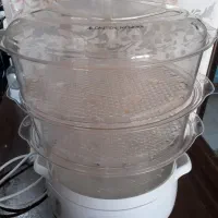 بخار پز فلر