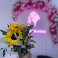 اجاره-صندلی-و-تخت-مژه