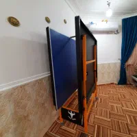 میز تنیس|تجهیزات ورزشی|رودان, |دیوار