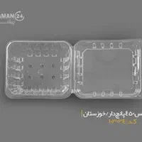 ظرف فروت باکس 450 پانچ دار|ظروف نگهدارنده، پلاستیکی، یک‌بارمصرف|تبریز, |دیوار
