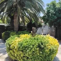 749متر-زمین-163بنا-حیاط-بزرگ-بشمن-خوش-قیمت