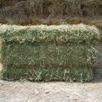 کاه یونجه درجه یک