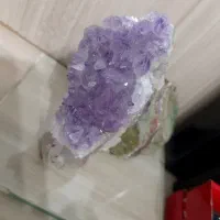 آمیتیس دکوری