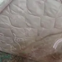 دو عدد تشک یک نفره