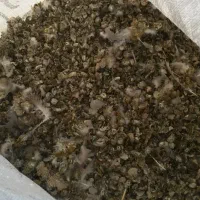 زل کبوتری،بلدرچین،مرغ،کود،ابزار باغ