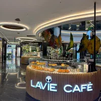 خدمات نظافت