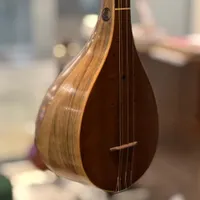 سه تار بیژن گردو