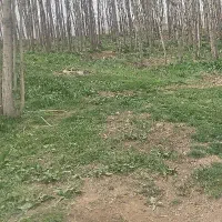 فروش یک نیسان کاه