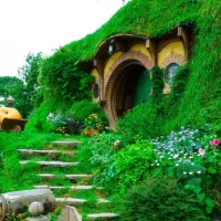 واحد-هم-کف-خ-کوهسنگی