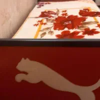 یک تخت همراه تشک