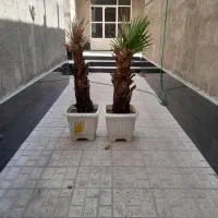 خانه حیاط دار برای انبار و یا کارگاه|اجارهٔ خانه و ویلا|تهران, خاک سفید|دیوار
