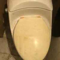 فروش توالت فرنگی