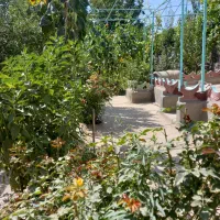 فروش باغ  ۱۵۴۰ متری وخانه باغ در عجبشیر|فروش خانه و ویلا|بناب, |دیوار