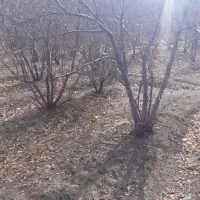 مشارکت در ساخت|مشارکت در ساخت املاک|خلجستان, |دیوار