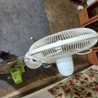 پنکه|پنکه و تصفیه‌کنندهٔ هوا|رامیان, |دیوار