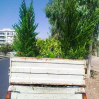 خدمات باغبانی تمام نقاط تهران گل کاری هرس خاکگلدان|خدمات باغبانی و درختکاری|تهران, نیروی هوایی (پیروزی)|دیوار