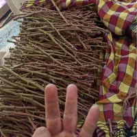 انواع شاخه پیوندی
