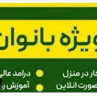 کاردر منزل برای شماخانم خانه دار