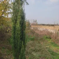 300-متر-زمین-با-یه-ویلایی-50-متری