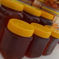 عسل طبیعی سبلان|خوردنی و آشامیدنی|رشت, بوسار|دیوار