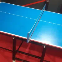 میز پینگ پنگ