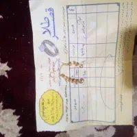 گشواره طلا زنجیری