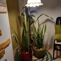 آباژور و چراغ خواب کلاسیک|چراغ خواب و آباژور|محمدشهر, محمدشهر|دیوار