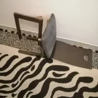 میز ناهار خوری|میز و صندلی غذاخوری|ساری, |دیوار