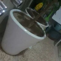 دو عدد گل پرتقال و لیمو
