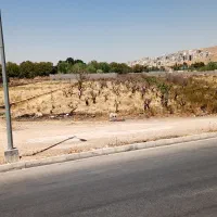 فردش باغ انگور|فروش زمین و ملک کلنگی|شیراز, دکتر حسابی|دیوار