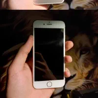 6s 64gig|موبایل|اندیشه, اندیشه فاز ۱|دیوار
