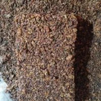 کشمش افتابی|عمدهفروشی|قرچک, زیبا شهر|دیوار